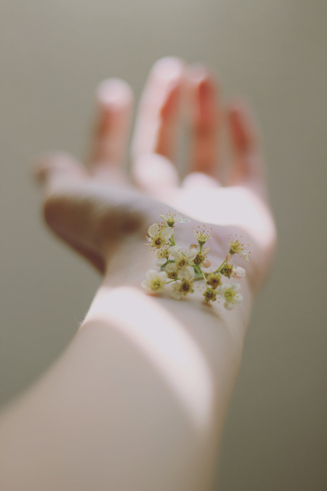 La flore vaginale